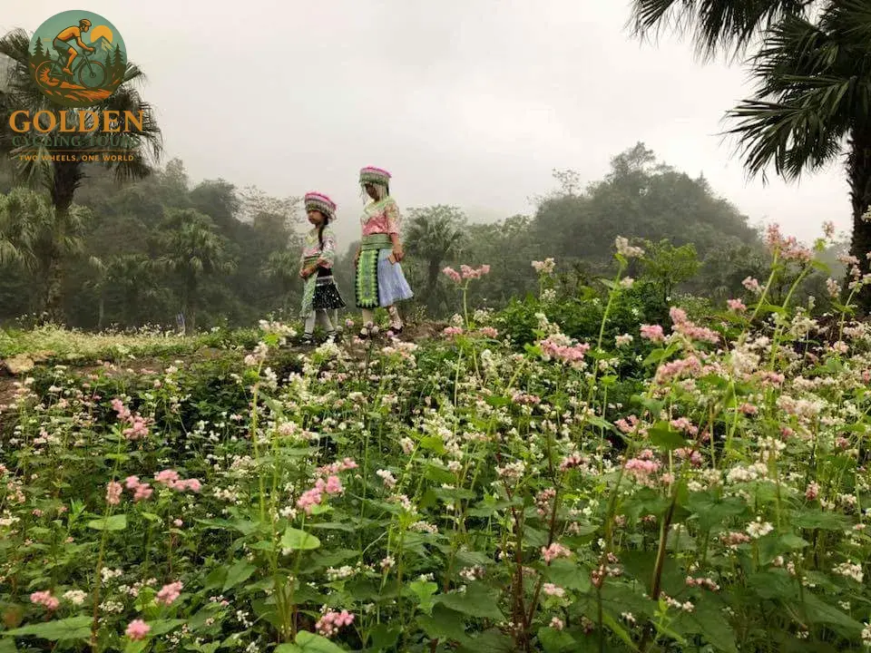 3-Day Thai Nguyen Backroad Cycling Tour: Ban Ten, Tea Hills & Nui Coc